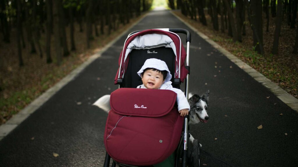 Simplify-Your-Parenthood-With-These-8-Baby-Stroller-Accessories-on-NewsTime